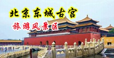 欧美大干骚逼中国北京-东城古宫旅游风景区